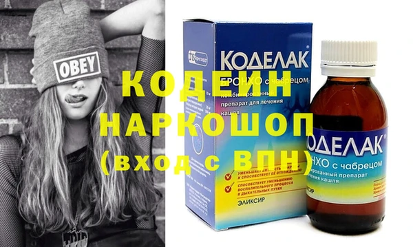 apvp Каменка