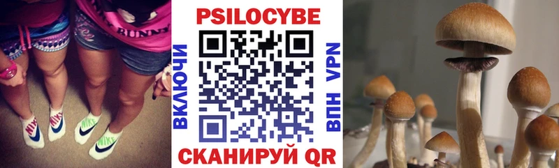 Галлюциногенные грибы прущие грибы  Карабаново 